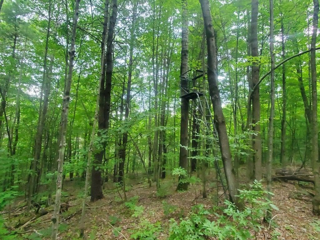 0 Freeman Hollow Road Bath, NY 14810 - Photo 3 of 20 Gallery Image 3