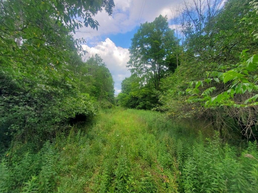 0 Freeman Hollow Road Bath, NY 14810 - Photo 6 of 20 Gallery Image 6