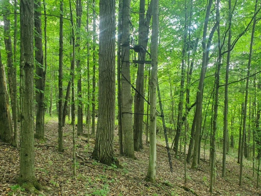 0 Freeman Hollow Road Bath, NY 14810 - Photo 7 of 20 Gallery Image 7