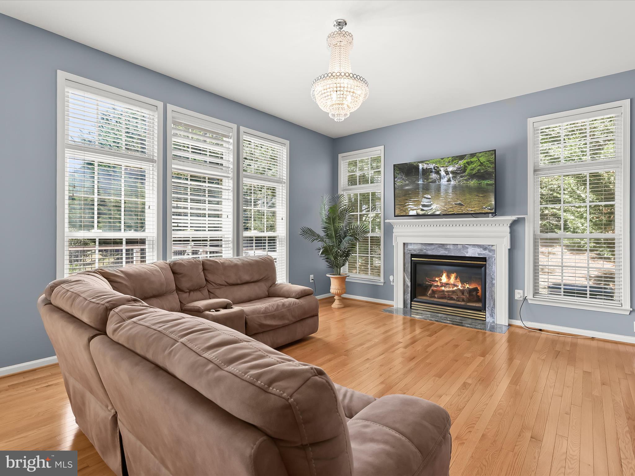 5816 Rockburn Woods Way Elkridge, MD 21075 - Photo 20 of 64 a living room with furniture and a fireplace