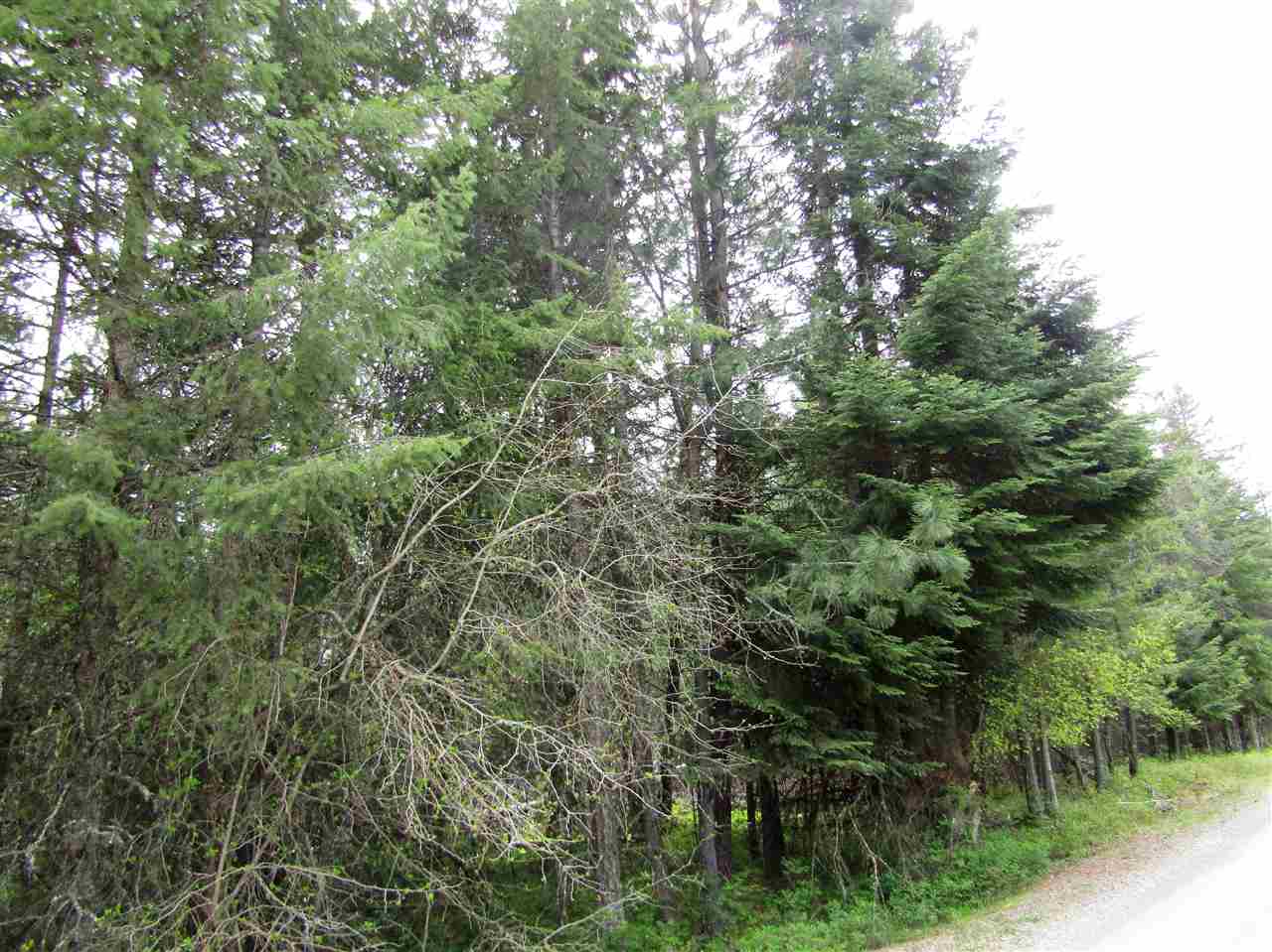 0 Henry Road Elk, WA 99009 - Photo 1 of 13