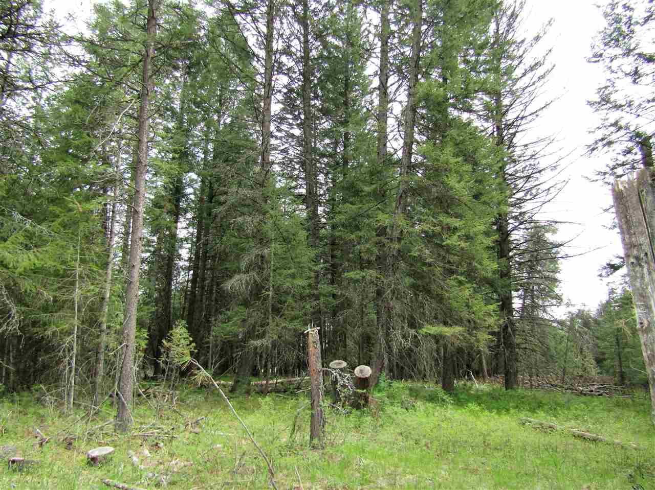0 Henry Road Elk, WA 99009 - Photo 2 of 13