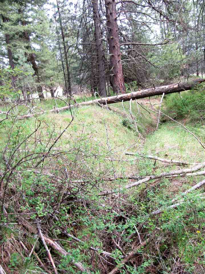 0 Henry Road Elk, WA 99009 - Photo 11 of 13