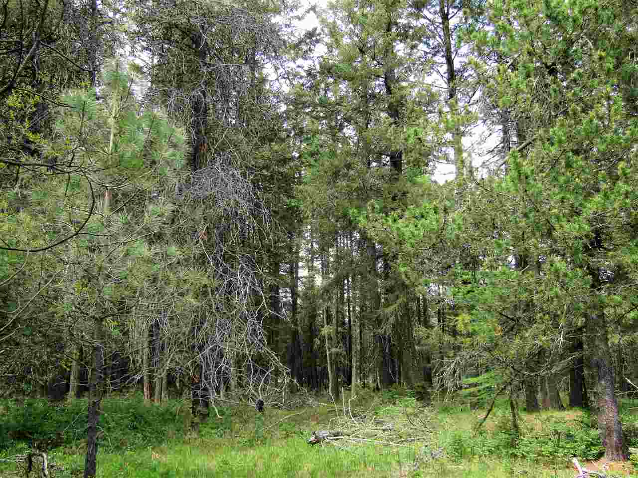 0 Henry Road Elk, WA 99009 - Photo 3 of 13