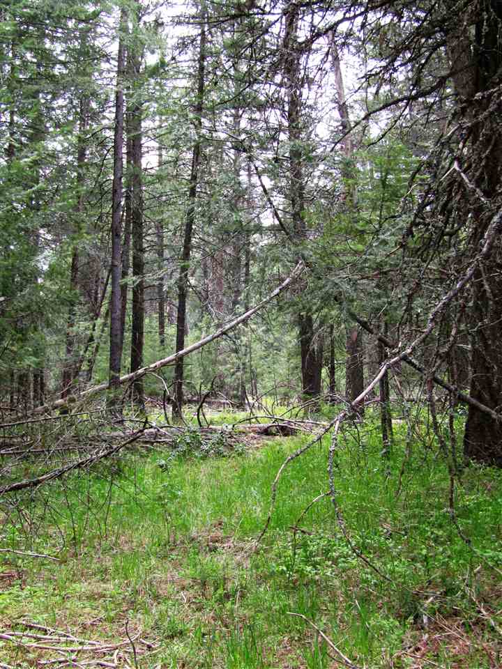 0 Henry Road Elk, WA 99009 - Photo 5 of 13
