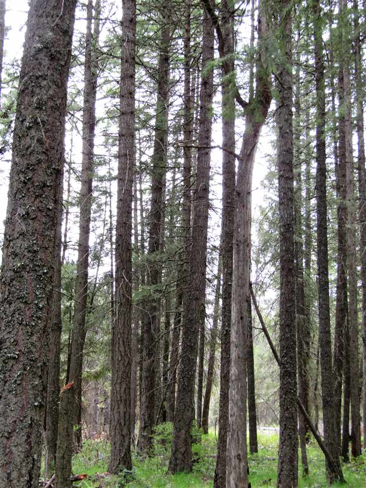 0 Henry Road Elk, WA 99009 - Photo 6 of 13