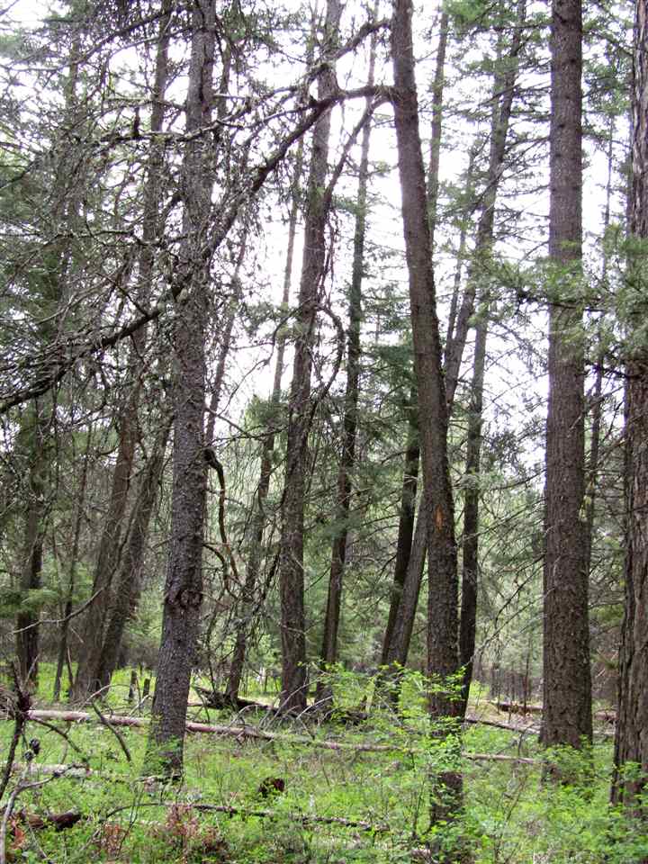 0 Henry Road Elk, WA 99009 - Photo 7 of 13