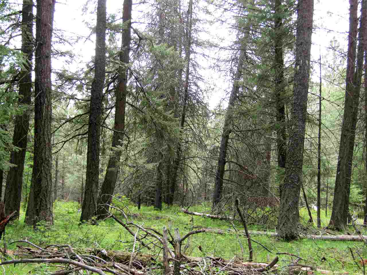 0 Henry Road Elk, WA 99009 - Photo 8 of 13
