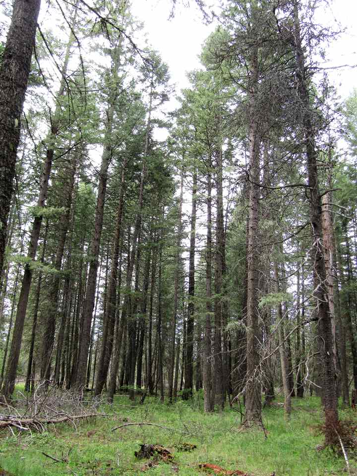 0 Henry Road Elk, WA 99009 - Photo 10 of 13