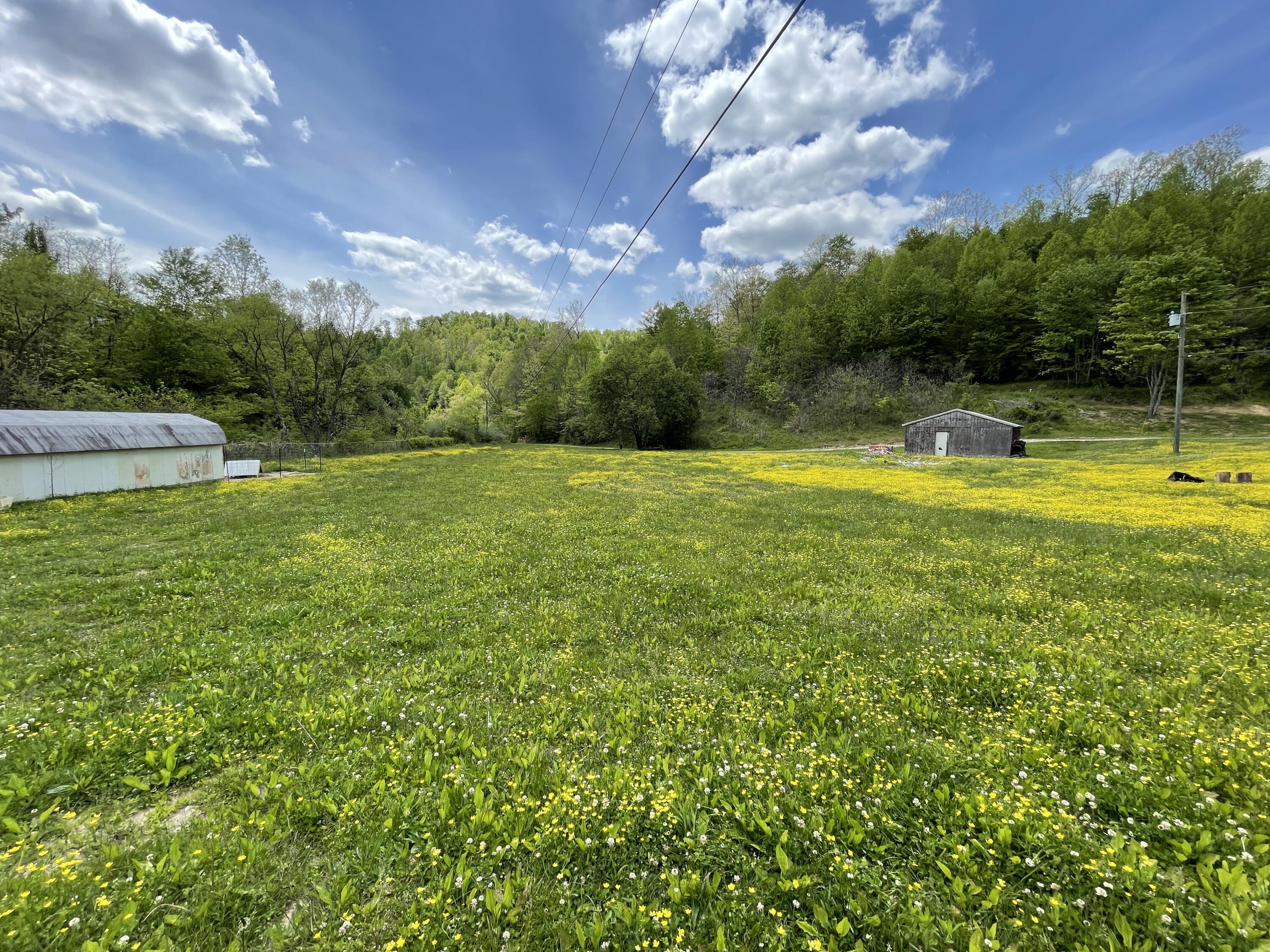 2229 Buckeye Branch Road Flat Lick, KY 40935 - Photo 63 of 101 IMG_2635