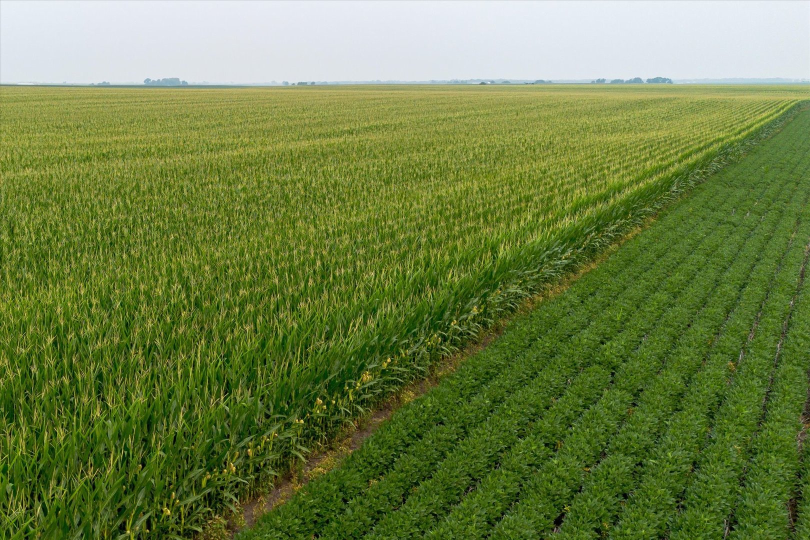 State Route 17th Varna, IL 61375 - Photo 7 of 13