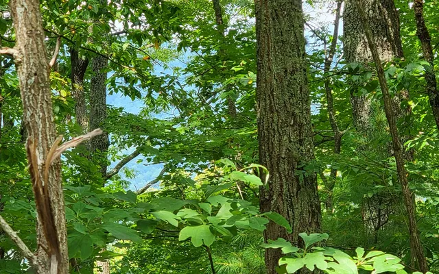 $49,500 | 28 Oak Ridge Road, Hayesville, NC 28904