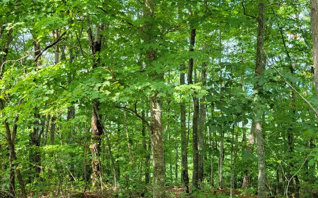 $49,500 | 28 Oak Ridge Road, Hayesville, NC 28904