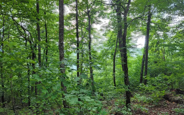 $49,500 | 28 Oak Ridge Road, Hayesville, NC 28904