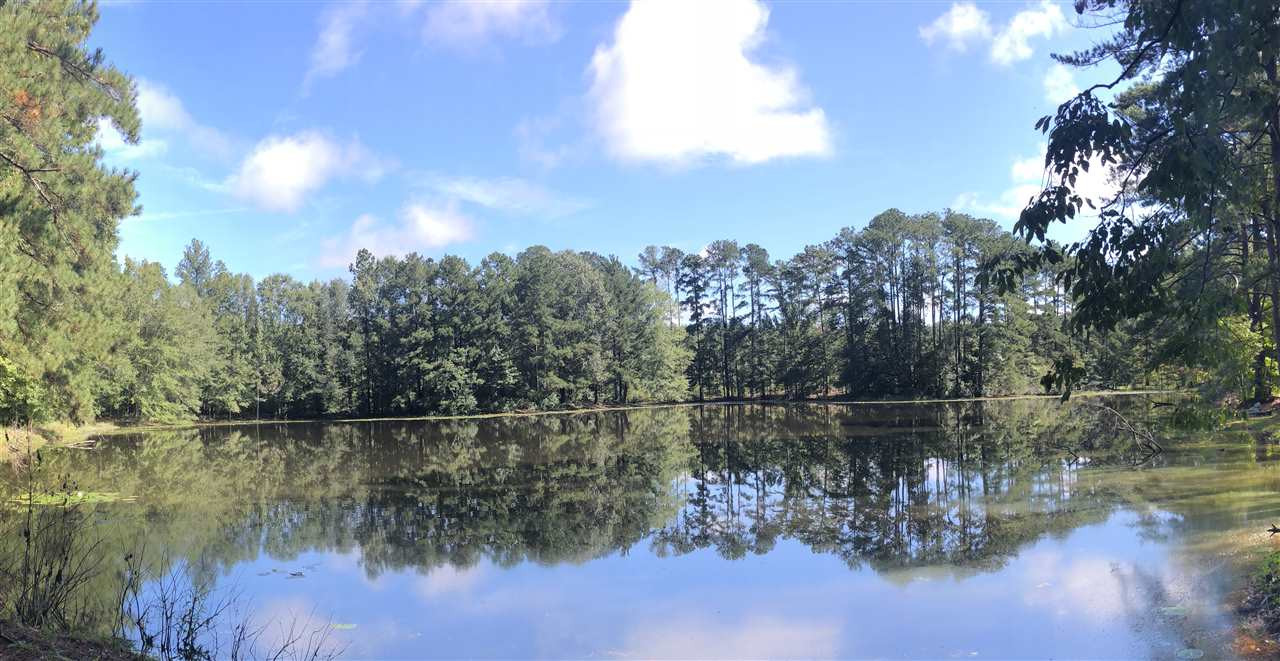 669 Gulde Shiloh Road Brandon, MS 39042 - Photo 2 of 9 Photo 2