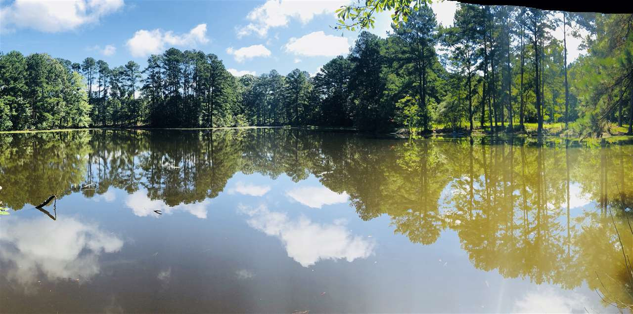669 Gulde Shiloh Road Brandon, MS 39042 - Photo 3 of 9 Photo 3