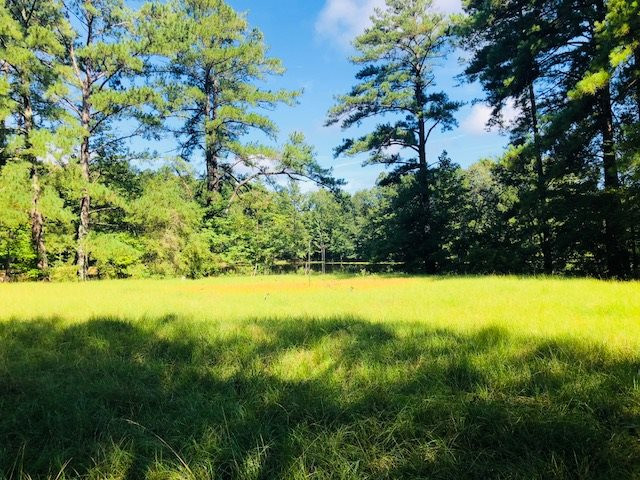 669 Gulde Shiloh Road Brandon, MS 39042 - Photo 4 of 9 Photo 4