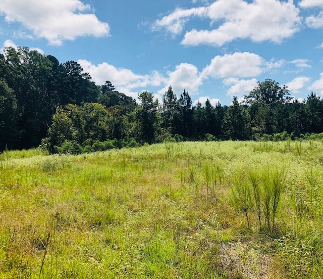 669 Gulde Shiloh Road Brandon, MS 39042 - Photo 7 of 9 Photo 7