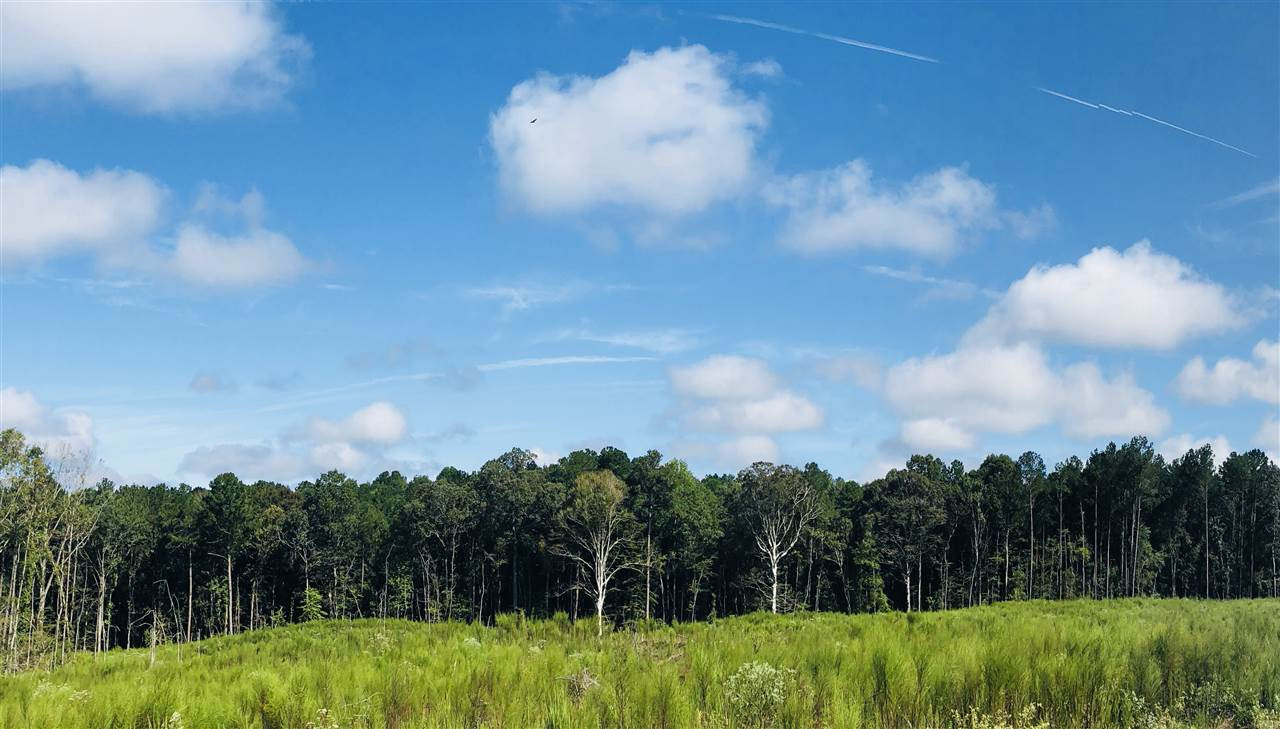 669 Gulde Shiloh Road Brandon, MS 39042 - Photo 8 of 9 Photo 8