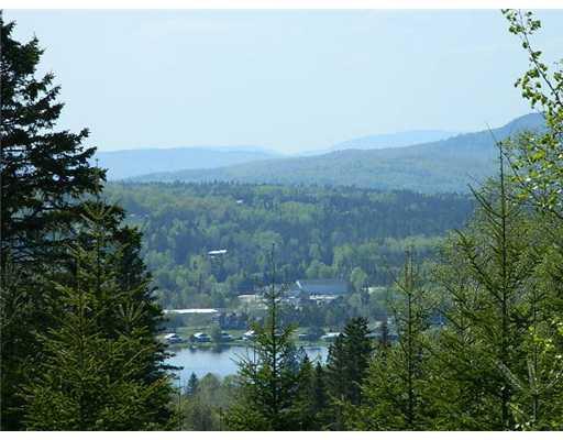 Lot 1 Moose Ridge Road Dallas Plt, ME 04970 - Photo 6 of 25 Other.