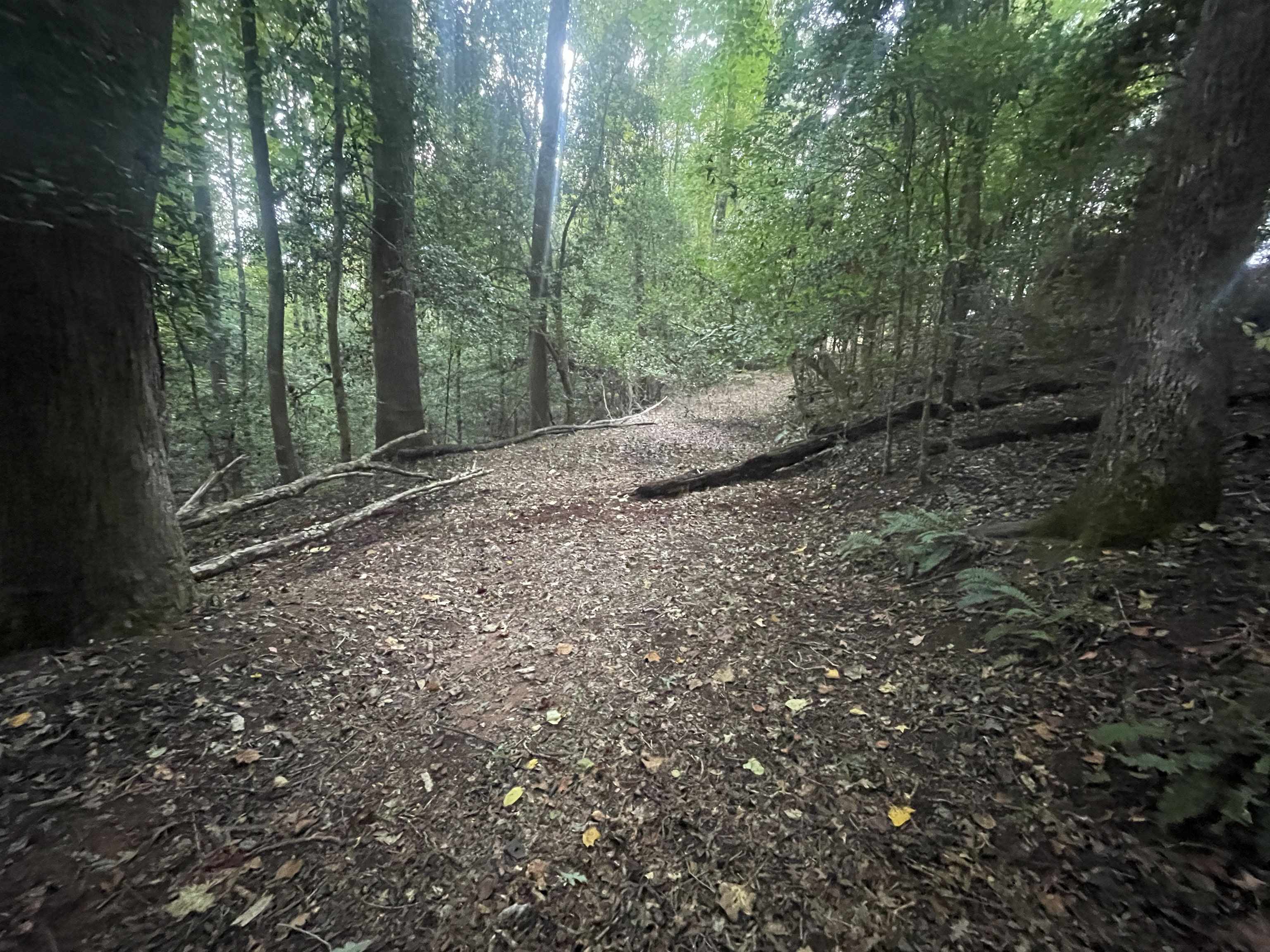 183 Walhalla Highway Sunset, SC 29685 - Photo 3 of 8