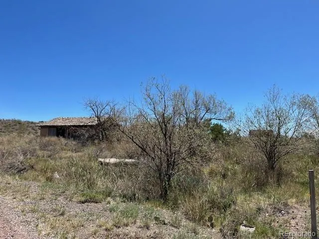 a view of a dry yard with trees in the background