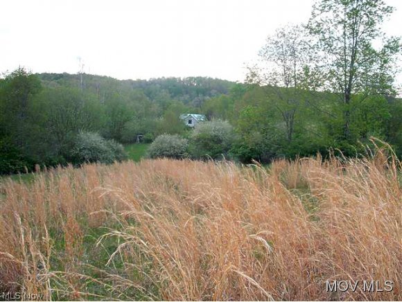 0 C Road Berea, WV 26327 - Photo 6 of 8