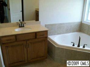 8301 Ruby Valley Road Charlotte, NC 28277 - Photo 7 of 8 Gallery Image 7