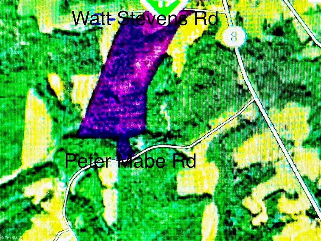 0 Watt Stevens Road Danbury, NC 27016 - Photo 4 of 5 TAX MAP VIEW 40+-ac to be verified