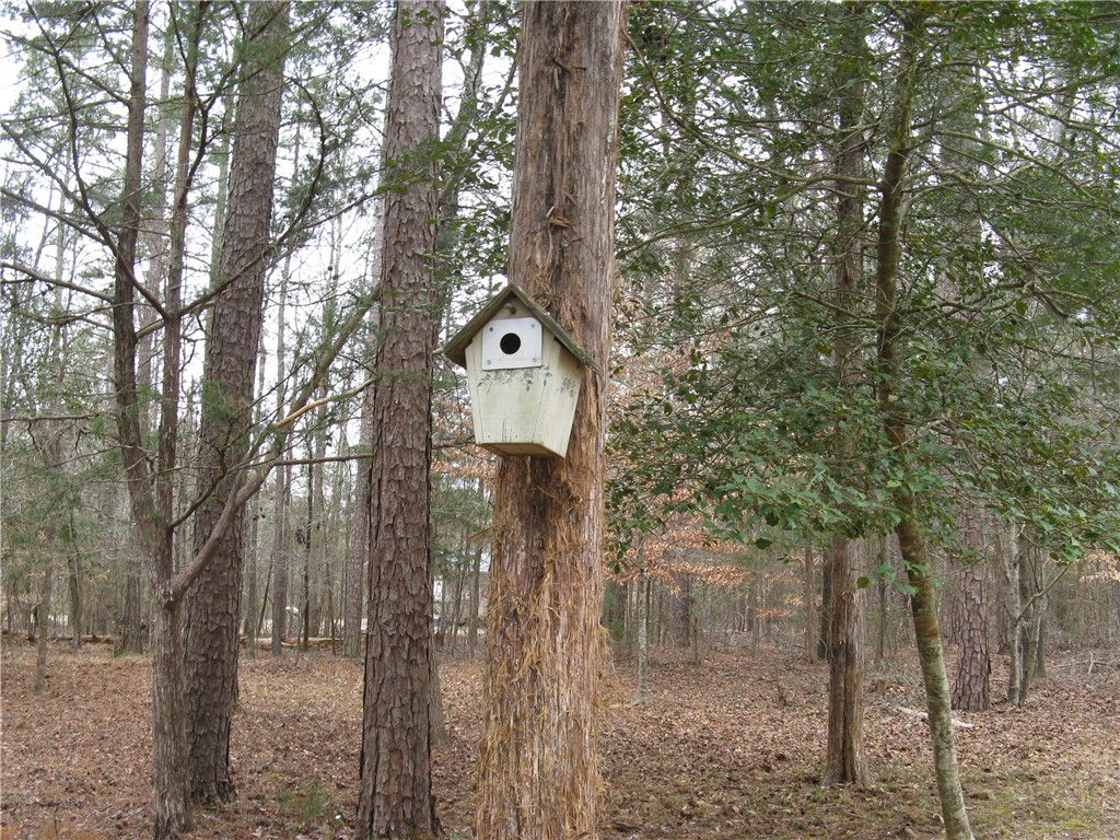 51 Beaver Lane Iva, SC 29655 - Photo 18 of 21