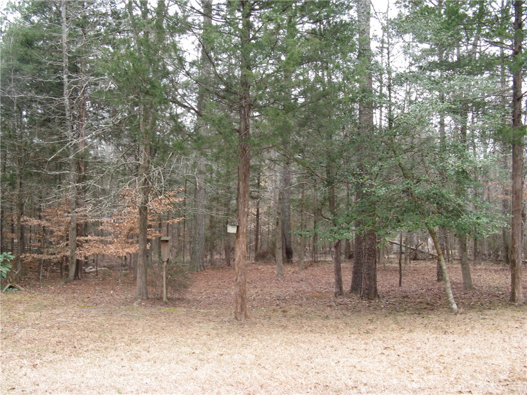 51 Beaver Lane Iva, SC 29655 - Photo 19 of 21