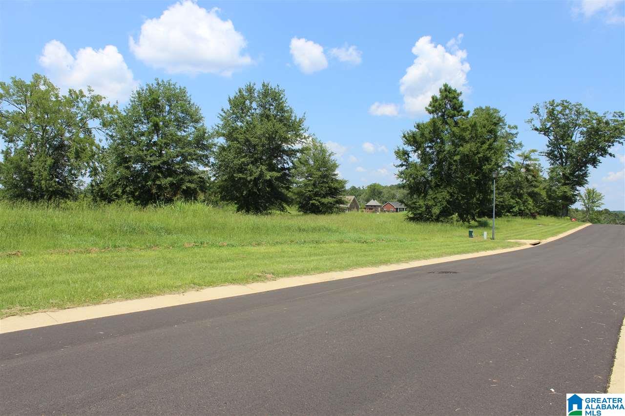 Overlook Drive, Unit 24 Lincoln, AL 35096 - Photo 9 of 10