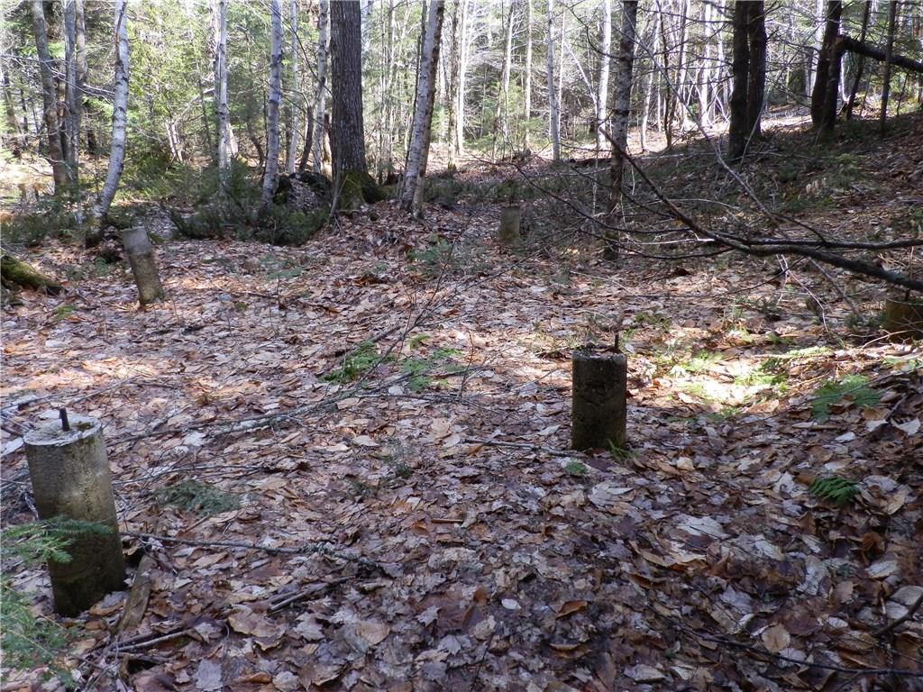 Lot 23 Lilly Pond Road Beddington, ME 04622 - Photo 27 of 29 Photo