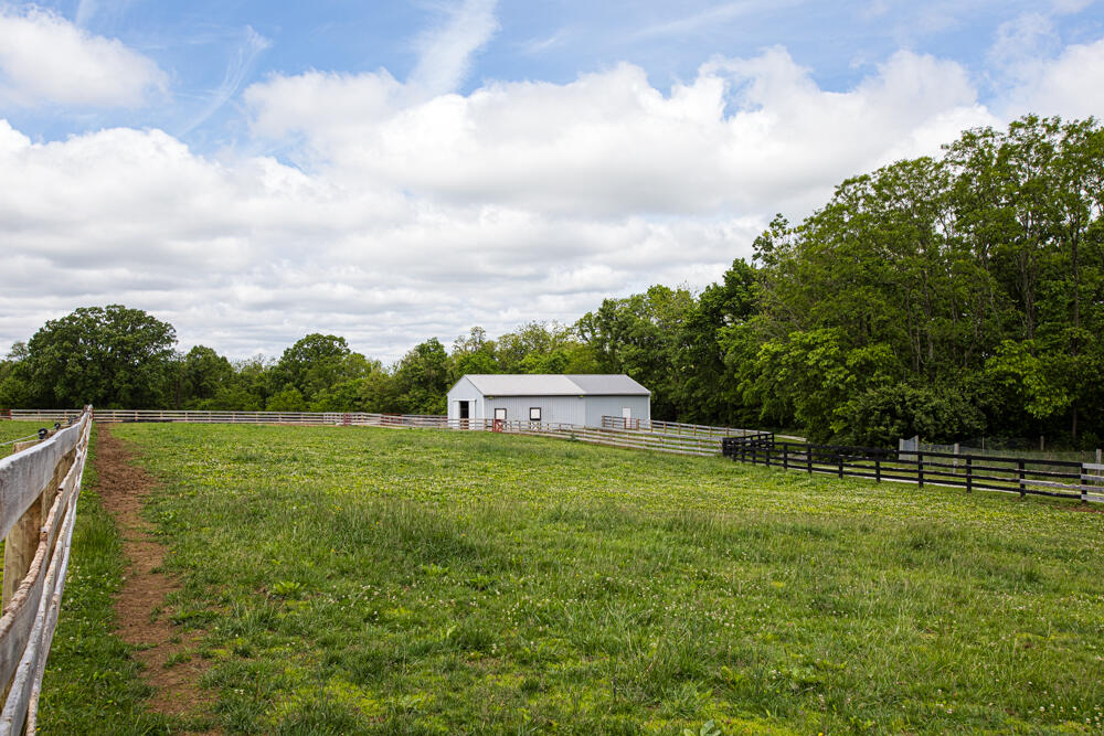 337 Collins Road Paris, KY 40361 - Photo 10 of 96 1F9A4179