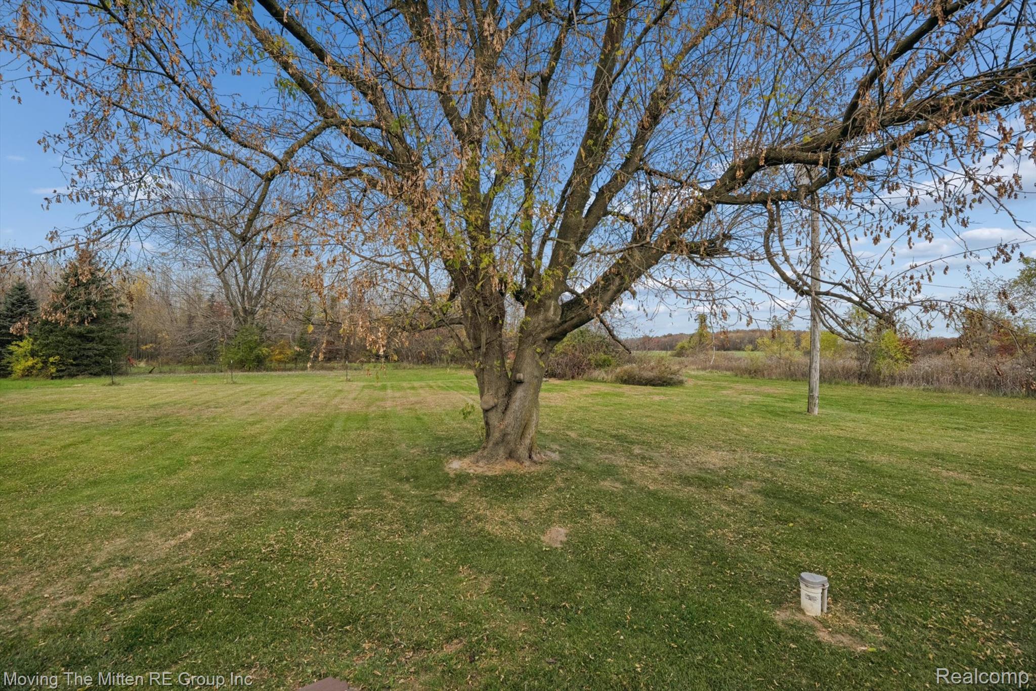 12000 Plank Road Milan, MI 48160 - Photo 39 of 49 View of green lawn