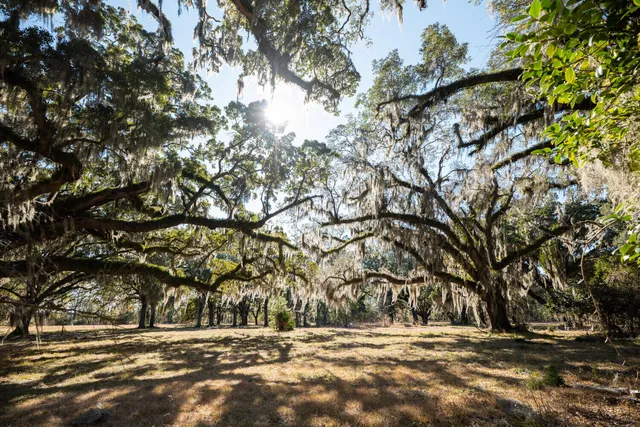 $349,000 | 6 Mauricena Road, Georgetown, SC 29440