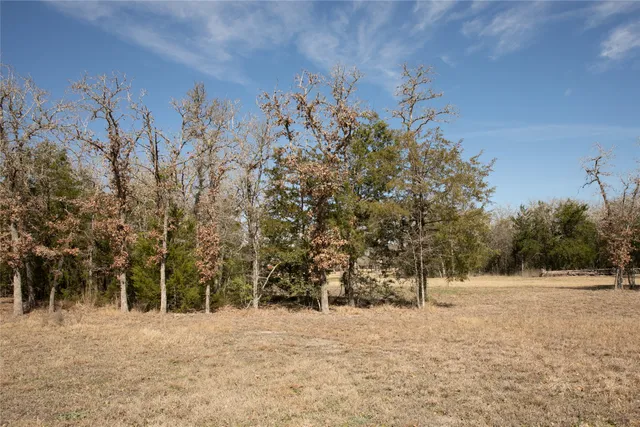 $395,000 | 12899 Young Lane, Carmine, TX 78932