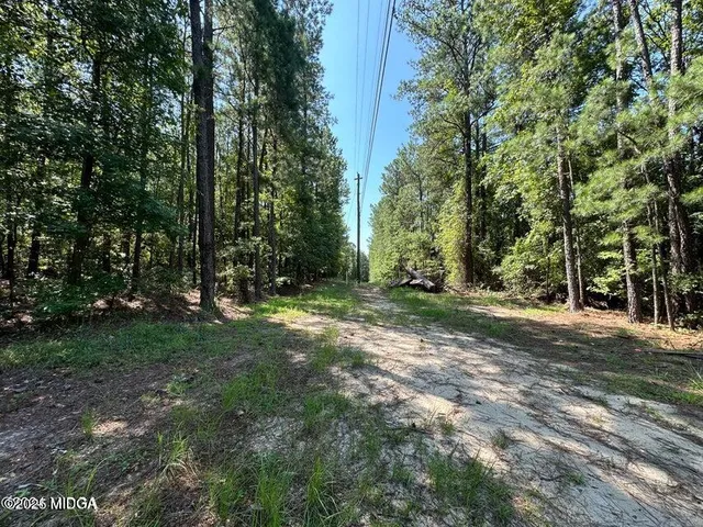 a view of a tree in the middle of a yard