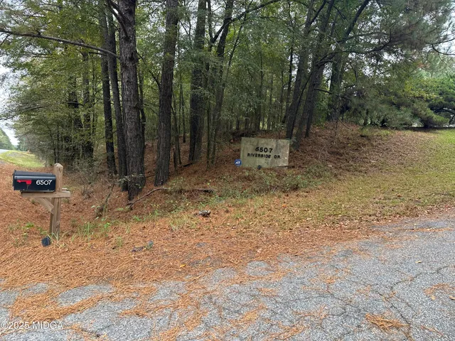 a view of backyard with trees