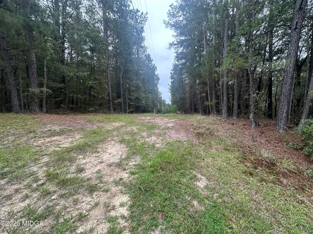 a fire hydrant in the middle of a field