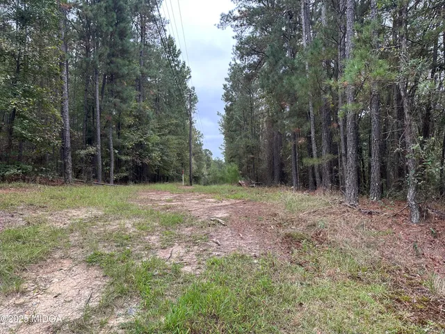 a view of a field with trees in the background