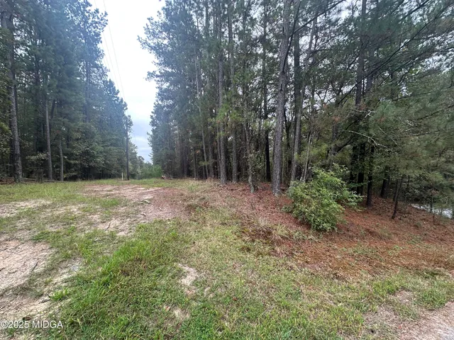 a view of a field with trees in the background