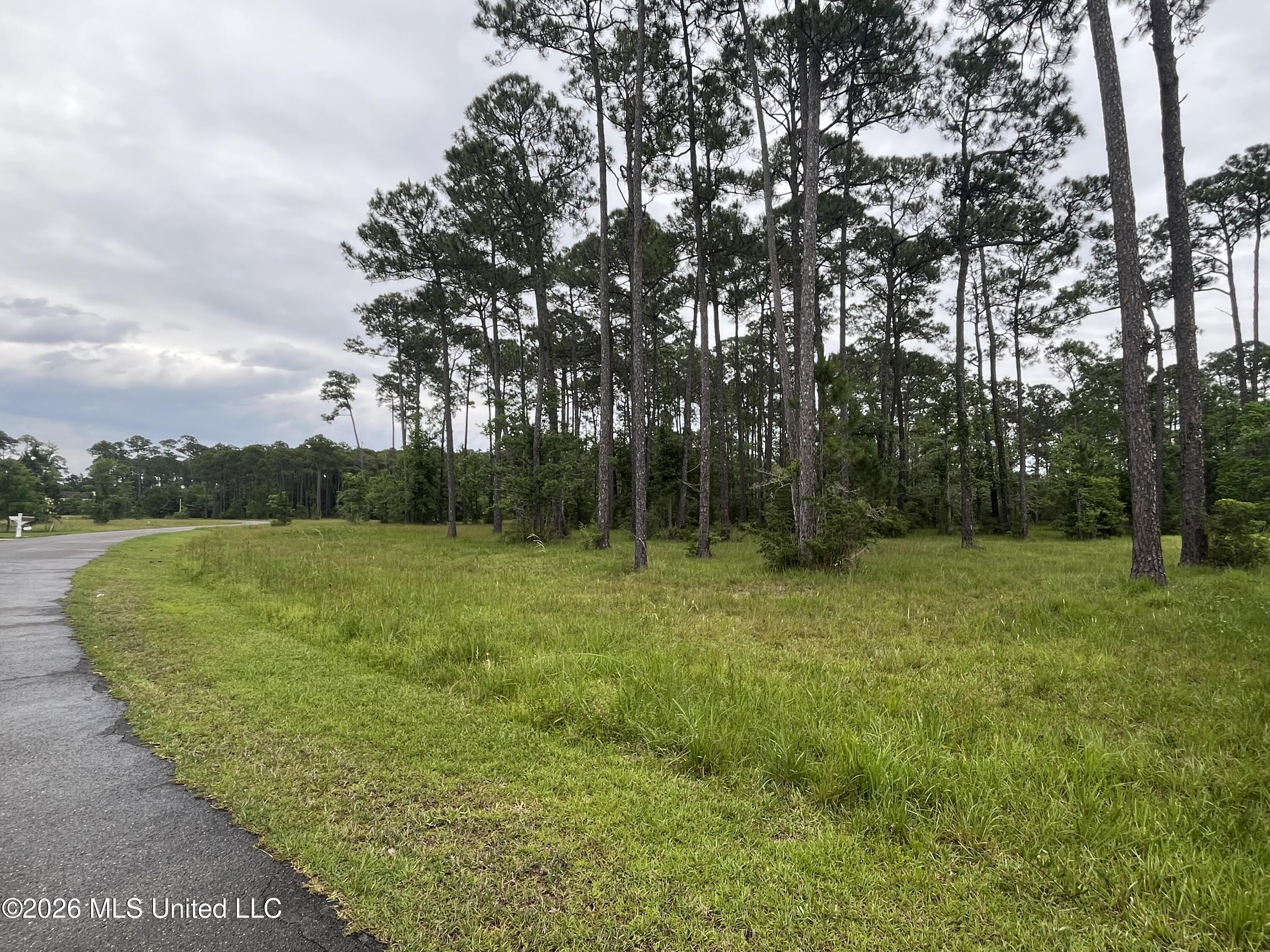 14142 Lorraine Road Biloxi, MS 39532 - Photo 7 of 13 IMG_8755