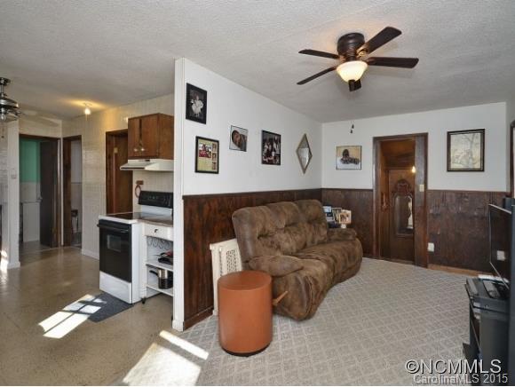 1364 Sorrells Cove Road Clyde, NC 28721 - Photo 3 of 14