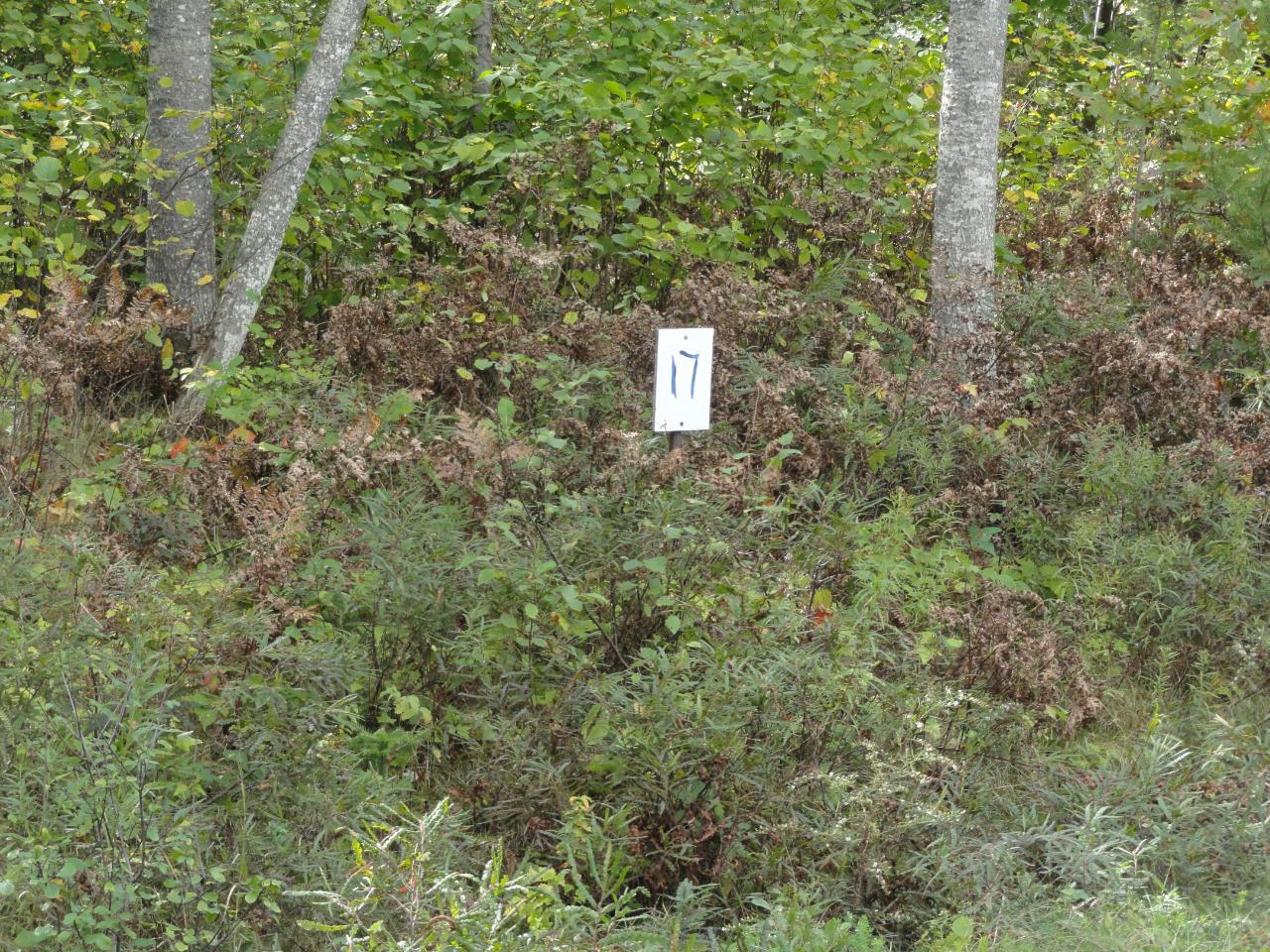 Lot 17 Pfeifer Road Tomahawk, WI 54487 - Photo 19 of 19 Gallery Image 19