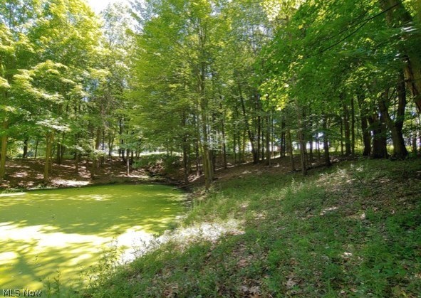 Kinsman Ridge Kinsman, OH 44428 - Photo 12 of 17 Gallery Image 12