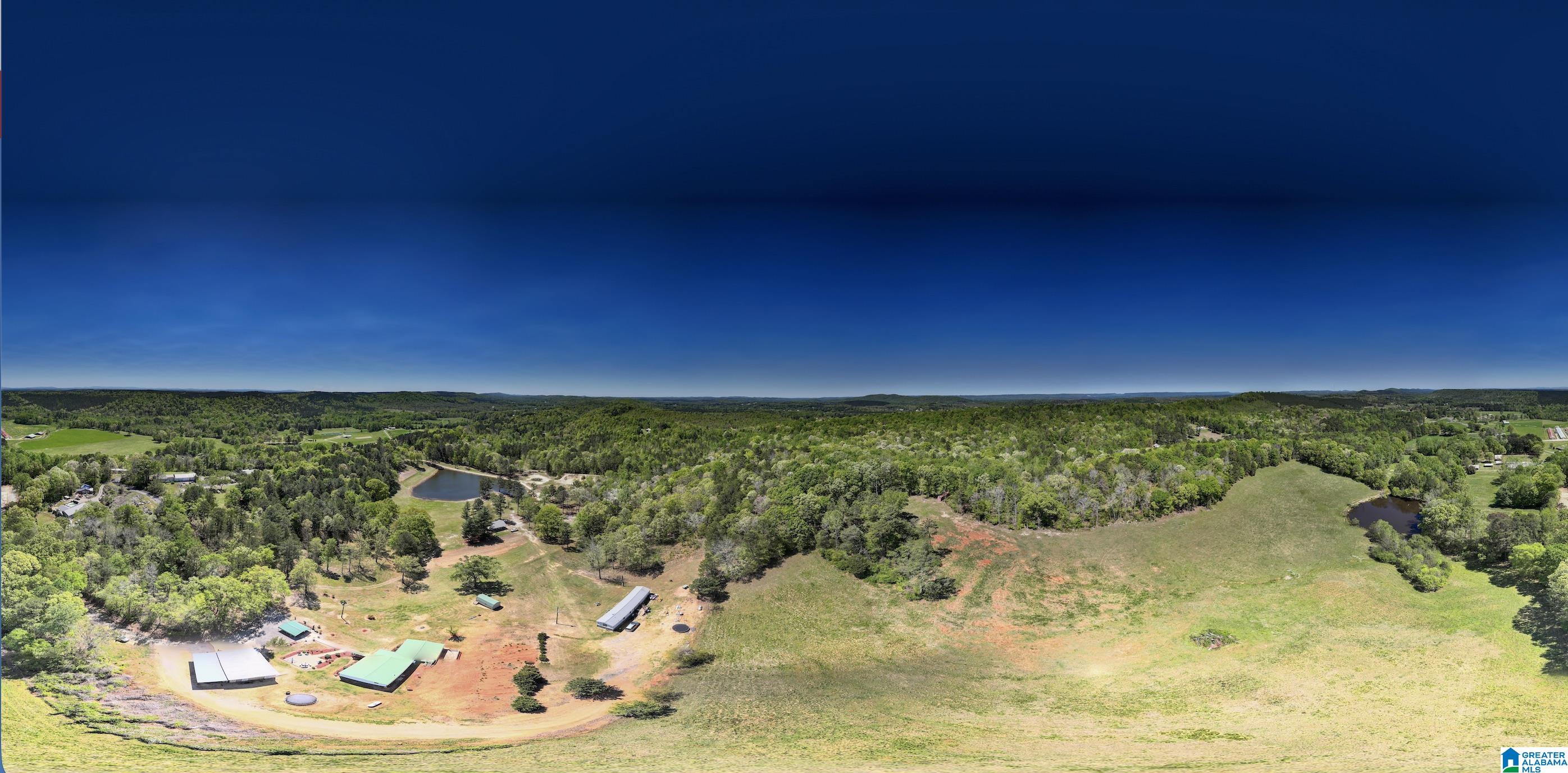0 Pike Hill Road Ashville, AL 35953 - Photo 4 of 22