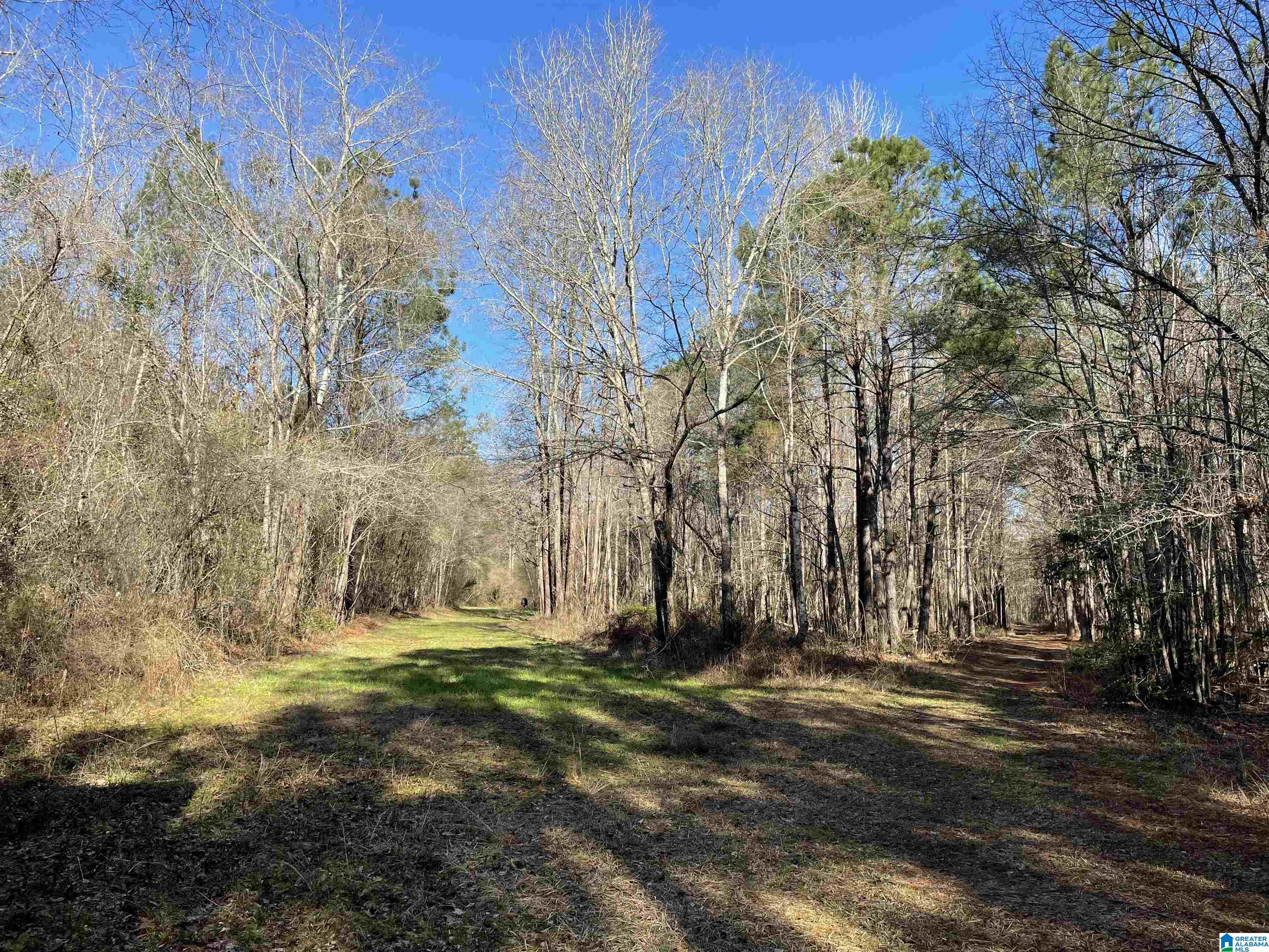 123 County Road, Unit 1 Marbury, AL 36051 - Photo 4 of 9