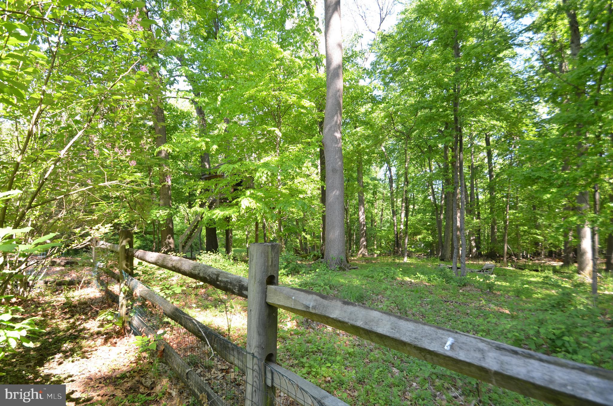 2931 Snake Hill Road Doylestown, PA 18902 - Photo 29 of 33 Backyard