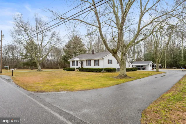 a front view of house with outdoor space and trees all around